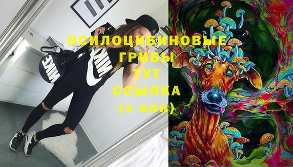 спиды Алзамай