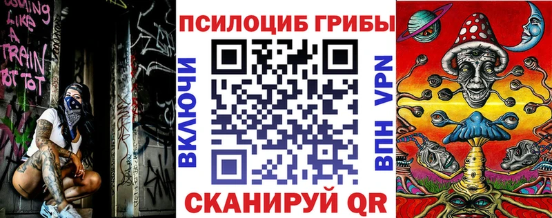 Псилоцибиновые грибы Cubensis  что такое наркотик  Злынка 