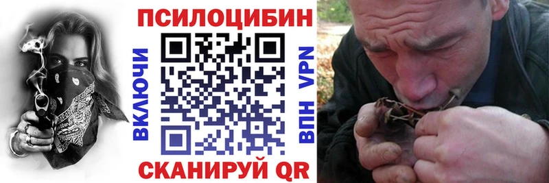 Псилоцибиновые грибы ЛСД Злынка