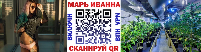 цены   Злынка  Конопля конопля 